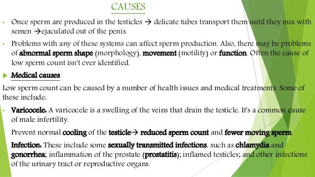 Actions to prevent decreased sperm counts images 257